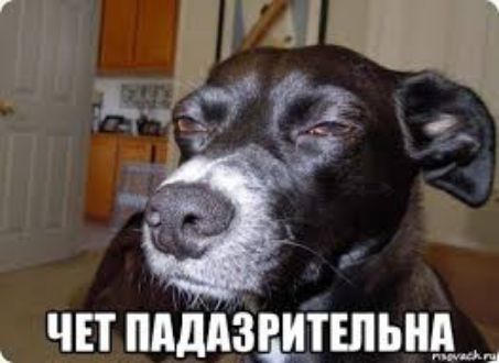 в _ чп мддзшшьнм