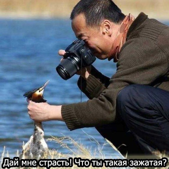 Даи йнё сг асгь Что ты такаязажатаяР Н ___Р 1 __