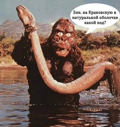 Зин на Краковскую в _ натуральной ибипичкг какой кпд7