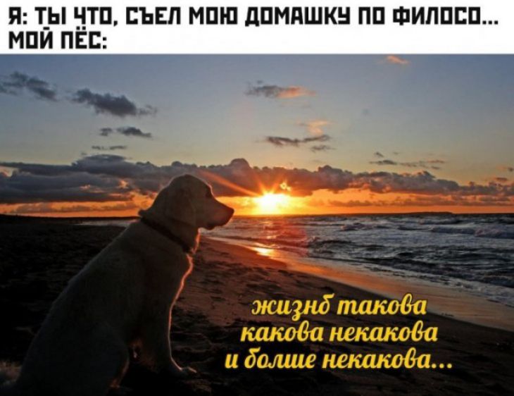 Я Т_Ы Ч_ТП СЪЕП МПШ дПМдШКН ПП ФИЛИПП
