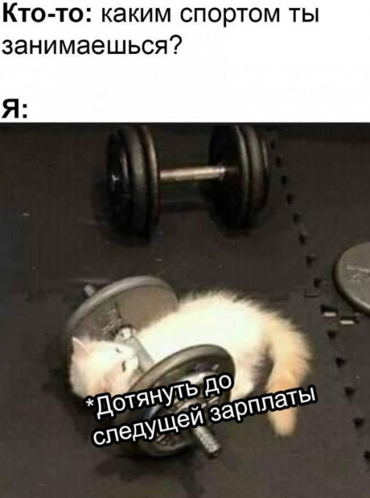 Кто то каким спортом ты занимаешься Я
