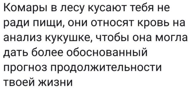 Комары в лесу кусают тебя не ради пищи они относят кровь на анализ кукушке чтобы она могла дать более обоснованный прогноз продолжительности твоей жизни