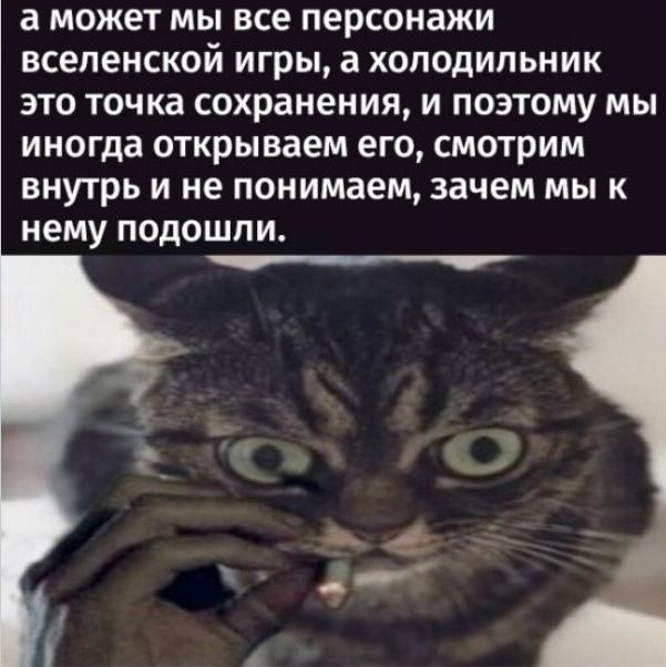 а может МЫ все персонажи вселенской ИГРЫ а ХОЛОДИЛЬНИК ЭТО ТОЧКЗ сохранения И ПОЭТОМУ МЫ ИНОГДЗ открываем его СМОТРИМ внутрь и не понимаем зачем мы к нему подошпи