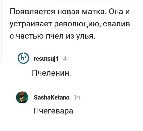 Появляется новая матка Она и устраивает революцию свалив с частью пчел из улья геэшзцп Пчеленин аЬаКеіапо Пчегевара