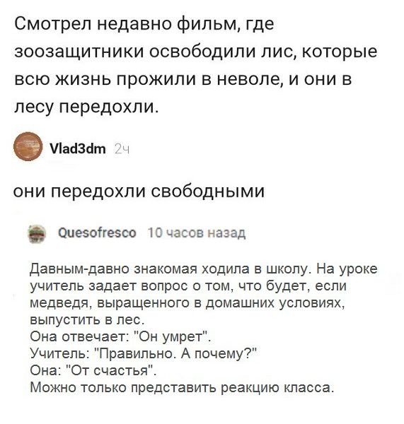 Смотрел недавно фильм где зоозащитники освободили лис которые всю жизнь прожили в неволе и они в лесу передохли Лаазат ОНИ передохли СВОбОДНЫМИ ооезоігезсо 10 часов назад давным давно знакомая ходила в школу На уроке учитель задает вопрос о том что будет если медведя выращенного в домашних условиях выпустить в лес Она отвечает Он умрет Учитель Правильно А почему Она От счастья Можно только предста
