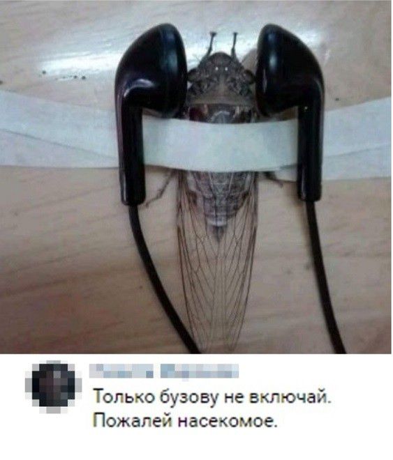 Тогько бузову не згча Пожагей насе ючое