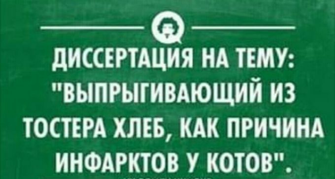 дИССЕРТАЦИЯ НА ТЕМУ ВЫПРЫГИВАЮЩИЙ ИЗ ТОСТЕРА ХЛЕБ КАК ПРИЧИНА ИНФАРКТОВ У КОТОВ