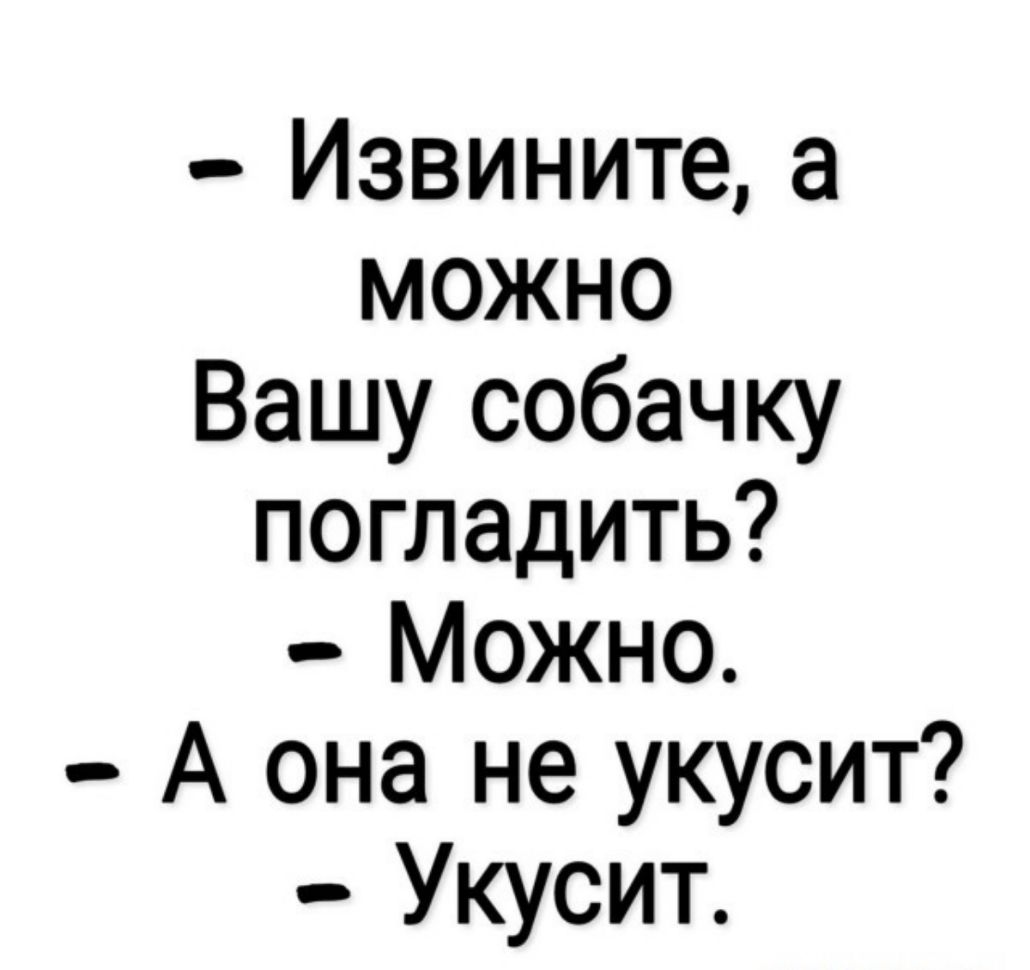 Извините а можно Вашу собачку погладить Можно А она не укусит Укусит
