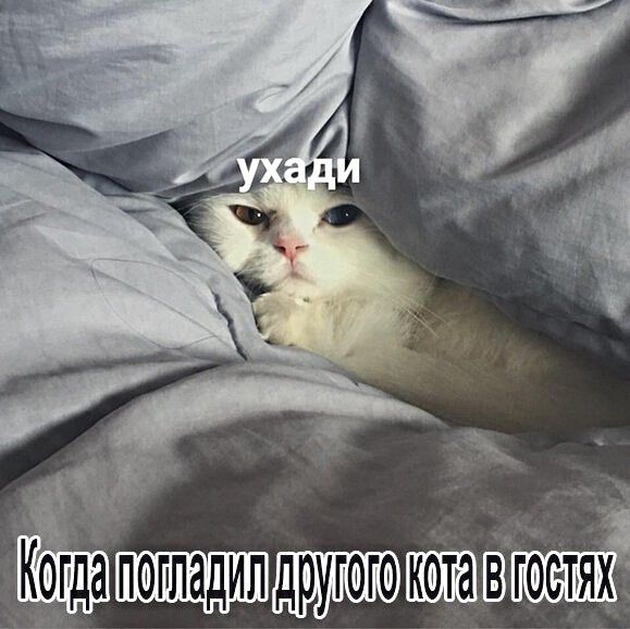 Кбгда поппадил другого в гос тяг