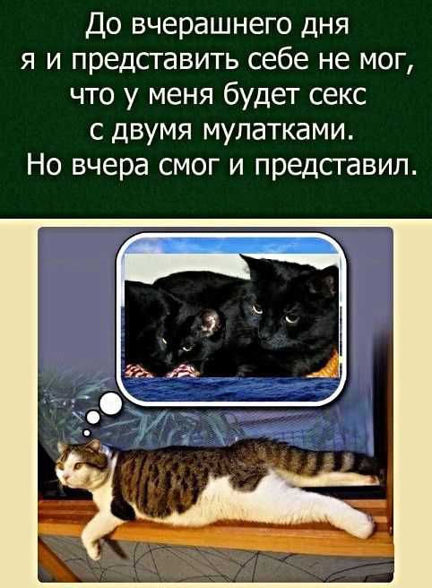 До вчерашнего дня я и представить себе не мог что у меня будет секс с двумя мулатками Но вчера смог и представил