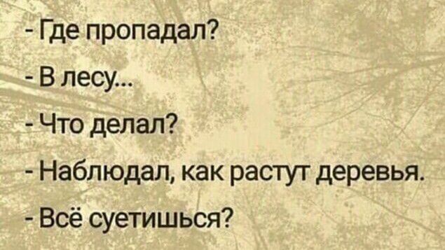 Где пропадал В лесу Что делал Наблюдал как растут деревья Всё суетишься