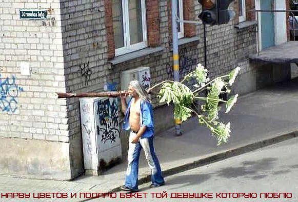 и ндпвы цвьгпв и ПБ Б ЕГ той ПЕЕЫШКЕ которыю пювпю