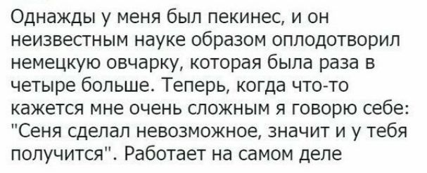 Однажды у меня был пекинес и он неизвестным науке образом оплодотворил немецкую овчарку которая была раза в четыре больше Теперь когда что то кажется мне очень сложным я говорю себе Сеня сделал невозможное значит и у тебя получится Работает на самом деле