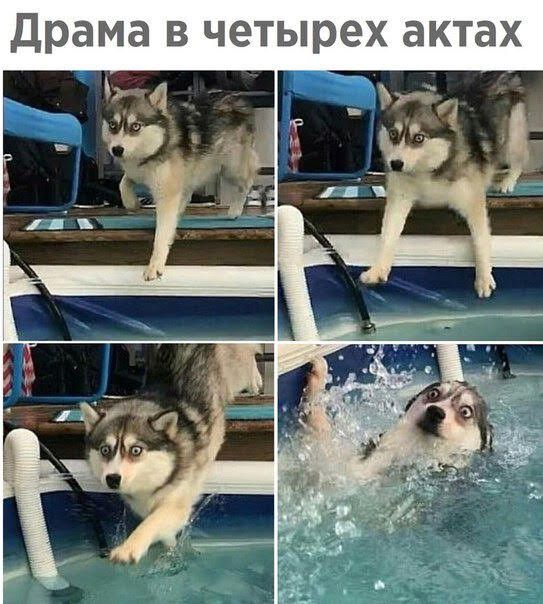 Драма В четырех актах