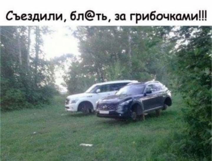 Съездили блть загрибочками