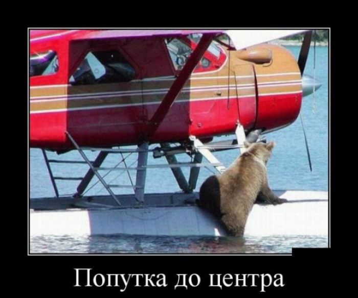 Попутка до центра