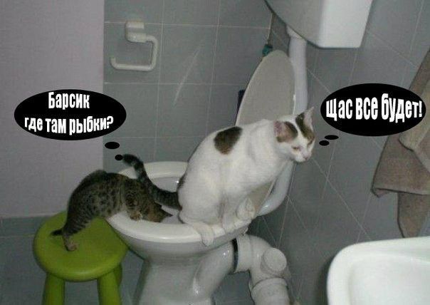Бапіиід детампыпииг г ЩаБВВЁЁУдвт