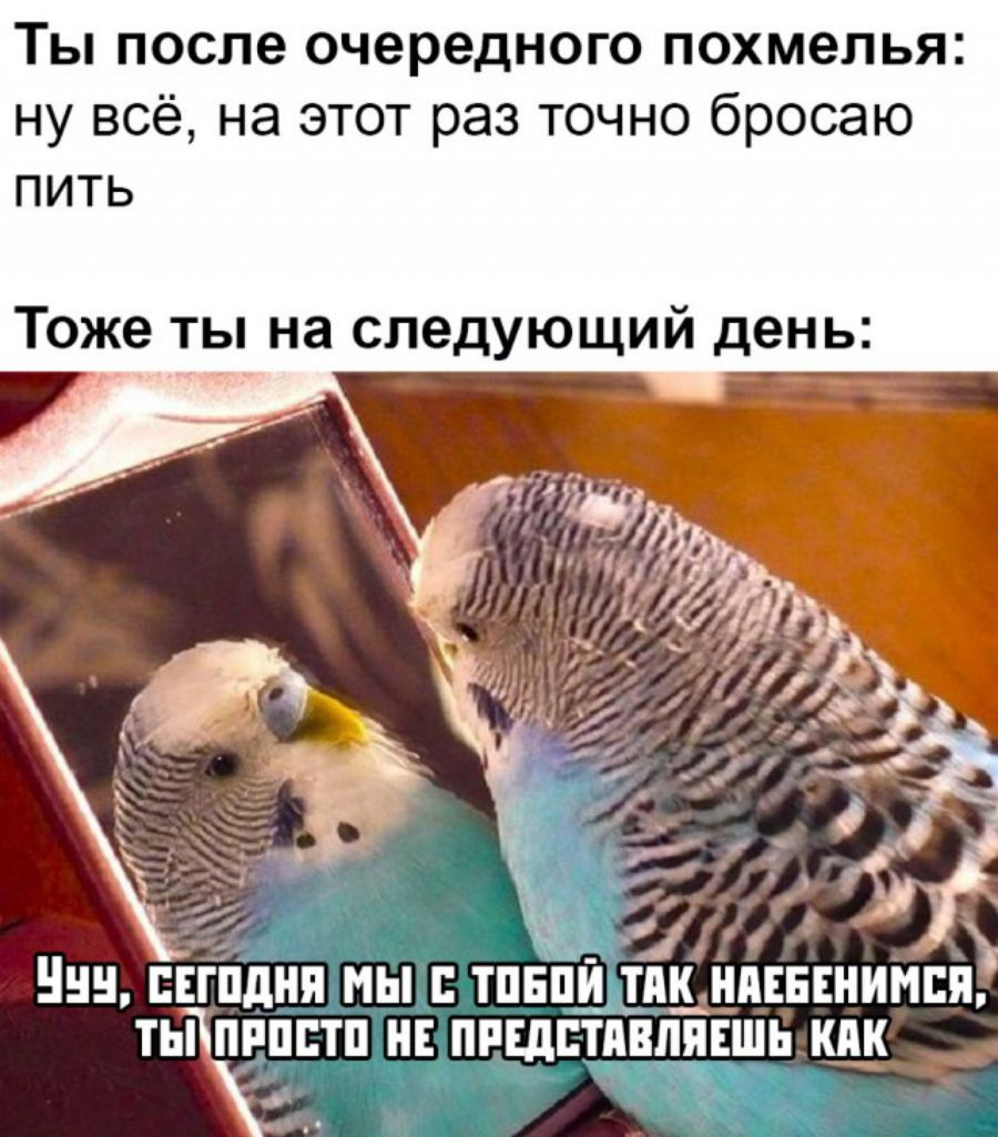 ТЫ после очередного ПОХМЭЛЬЯ ну всё на этот раз точно бросаю пить Тоже ты на следующий день ШШ БЕГПДНП МЫ В ТПЕП_И1_Ш__ НПЕЕЕНИМБЯЁ ТЬЁПРППТП НЕ ПРЕДЕТАВЛЯЕШЬ КАК іх Ут
