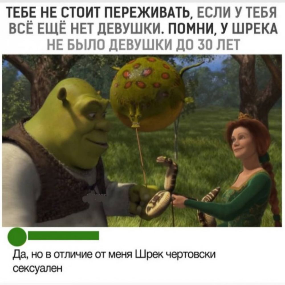 твв__Е не _стоит пережить если У ТЕБЯ все ЕЩЕ НЕТ ДЕВУШКИ помни у ШРЕКА НЕ БЫЛО ДЕВУШКИ до 30 ЛЕТ 0 Да но в отличие от меня Шрек чертовски сексуален