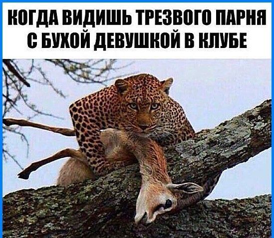 ЮГдд ВИДИШЬ ТРЕЗЕВП ПАРНЯ БШШИ дЕВУШіЮИ В КЛУБЕ Ж ъ _