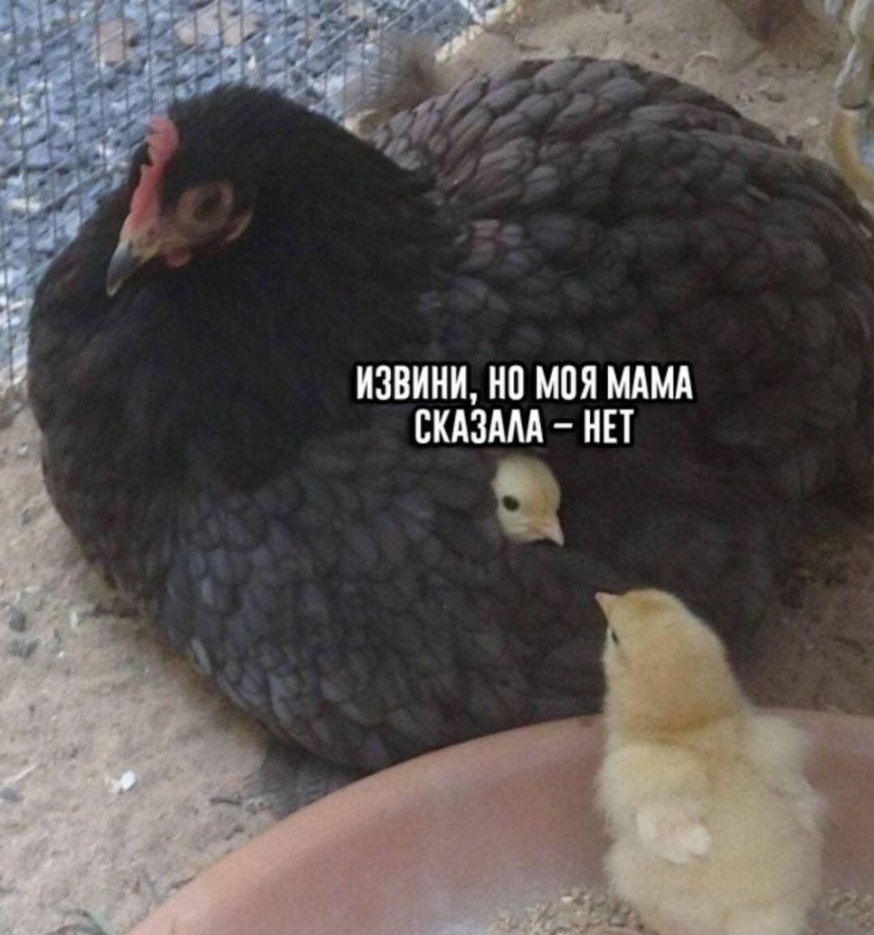 ИЗВИНИ НП МПЯ МАМА СКАЗААА НЕТ