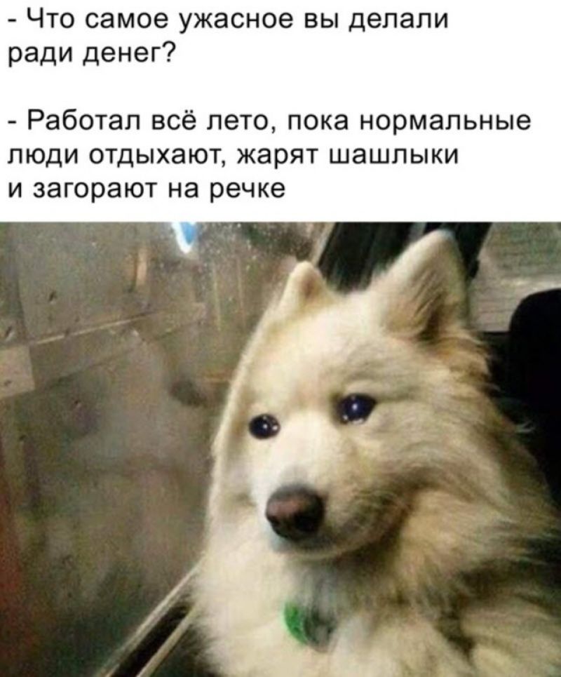 Что самое ужасное вы делали ради денег Работал ВСё лето ПОКЭ нормальные ЛЮДИ ОТДЫХЭЮТ жарят ШЭШЛЫКИ И загорают на речке