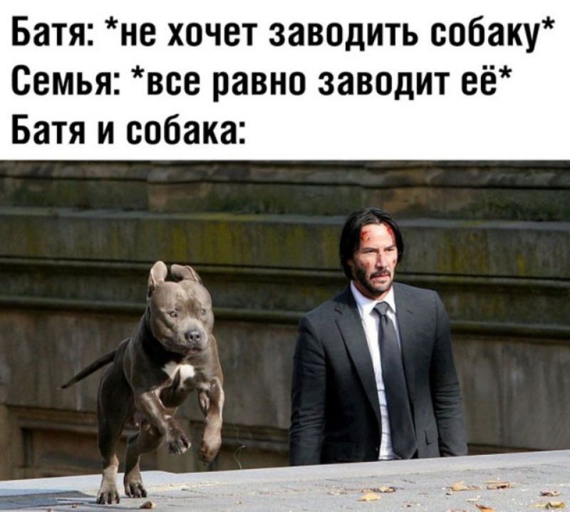 Батя не хочет заводить собаку Семья все равно заводит её Батя и собака
