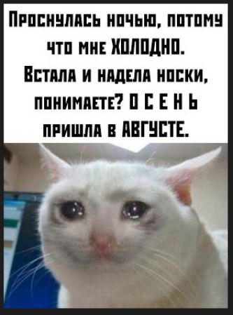 нпппинпипь ипчып пптпмн чтп ни хплпднп Витим и ипдщ иппки ппиимппв Е Н пришли и ПВГНЕТЕ