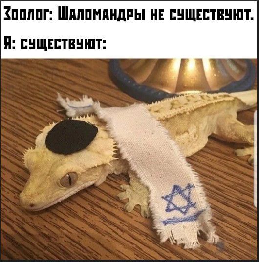 Кпплпг Шилпмпндгы н пнщнптвншт Я пнщнптвншт