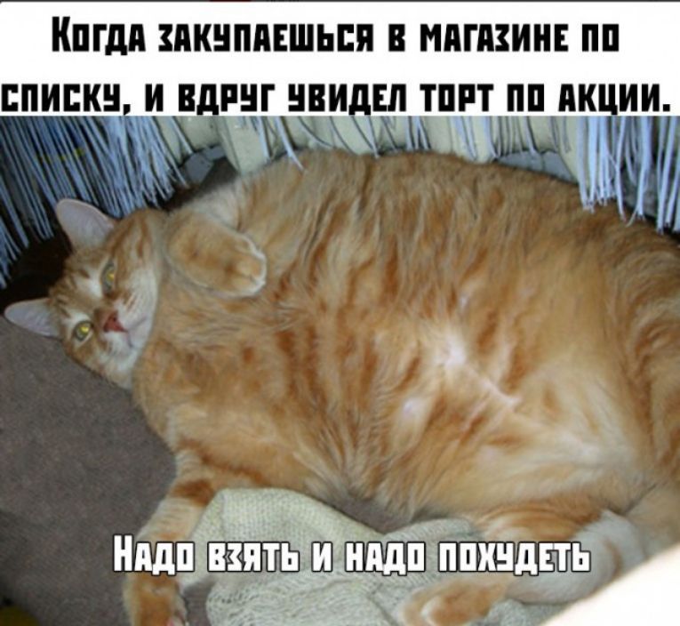 ШШШ МШППЕШЬПП В МППЗИНЕ ПП ЕПИПКЦ И В и