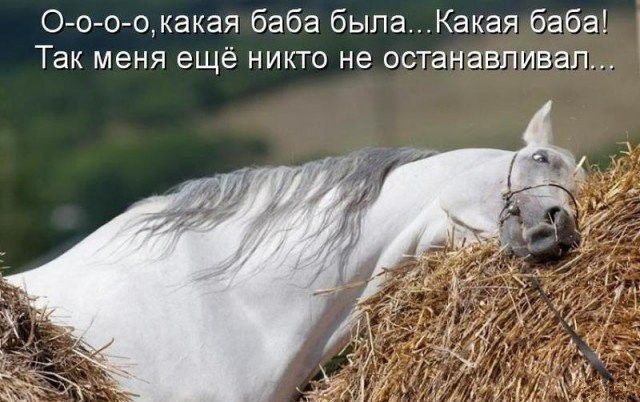 О о о окакая баба бьппаКакая баба Так меня ещё никто не останавливал