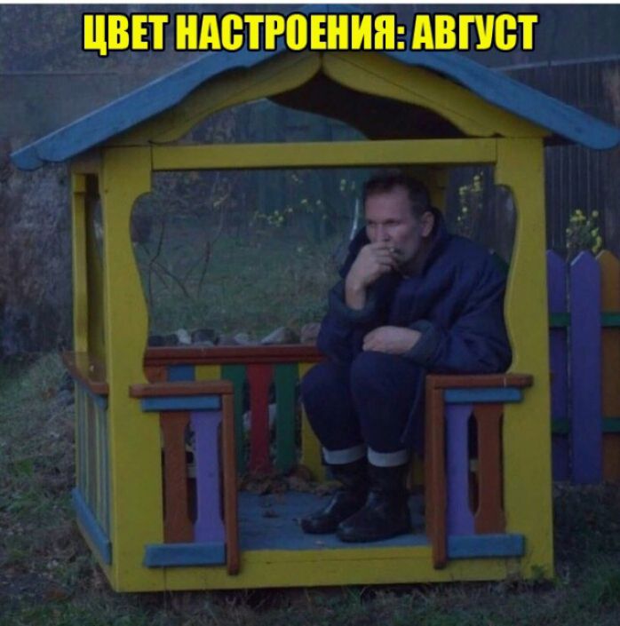 ЦВЕТ НАВТРПШИП АВПЮТ