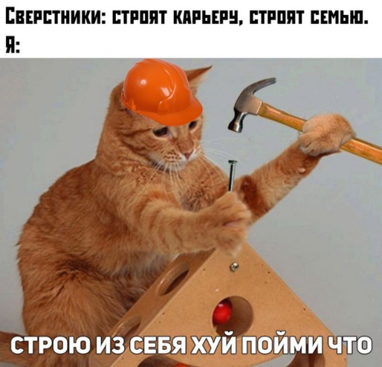 ВВЕРПНИКИ ПРП ШШШ ШШ СЕМЬЮ П