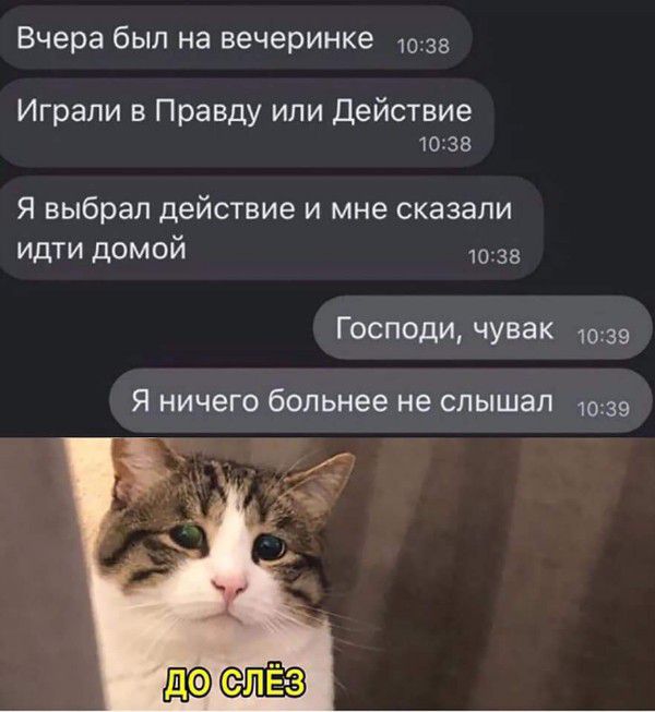 Вчера был на вечеринке 1038 Играли в Правду или Действие 1038 Я выбрал действие и мне сказали идти домой 1038 Господи чувак 1039 Я ничего больнее не слышал 1039