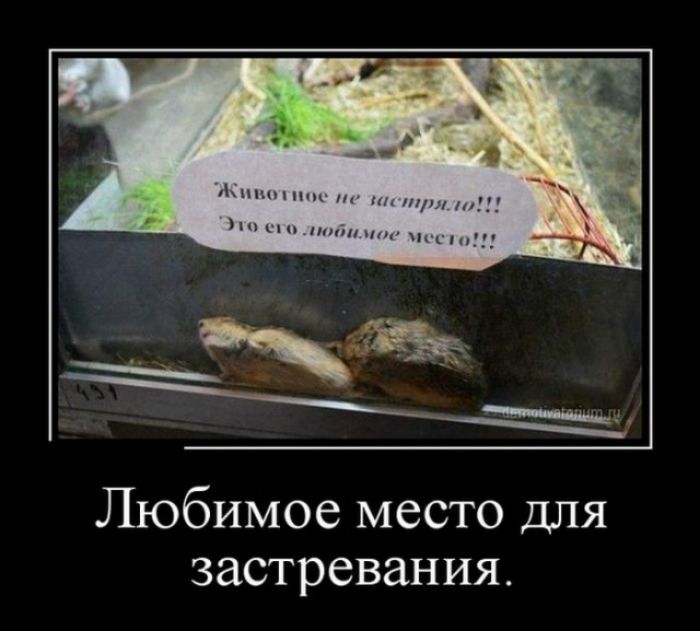 Любимое место для застревания