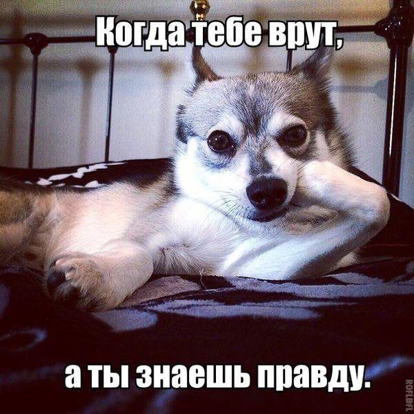 а ТЫ знаешь ЩШВДУ