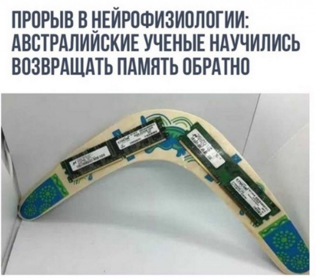 ПРОРЫВ В НЕЙРОФИЗИОЛОГИИ АВСТРАЛИИСКИЕ УЧЕНЫЕ НАУЧИЛИБЬ ВПЗВРАЩАТЬ ПАМЯТЬ ОБРАТНО