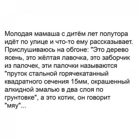 Молодая мамаша с дитём лет полутора идёт по улице и чтото ему рассказывает Приспушиваюсь на обгоне Это дерево ясень это жёлтая лавочка это заборчик из палочек эти палочки называются пруток стальной горячекатанный квадратного сечения 15мм окрашенный алкидной эмалью в два слоя по грунтовке а это котик он говорит мяу