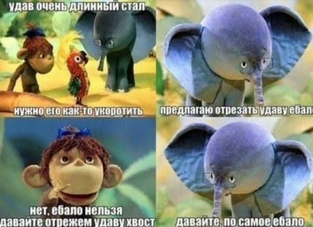 птицами