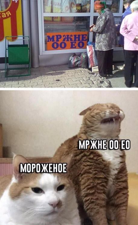 _ мгЖПЕіпп ЕП Могпжшпн
