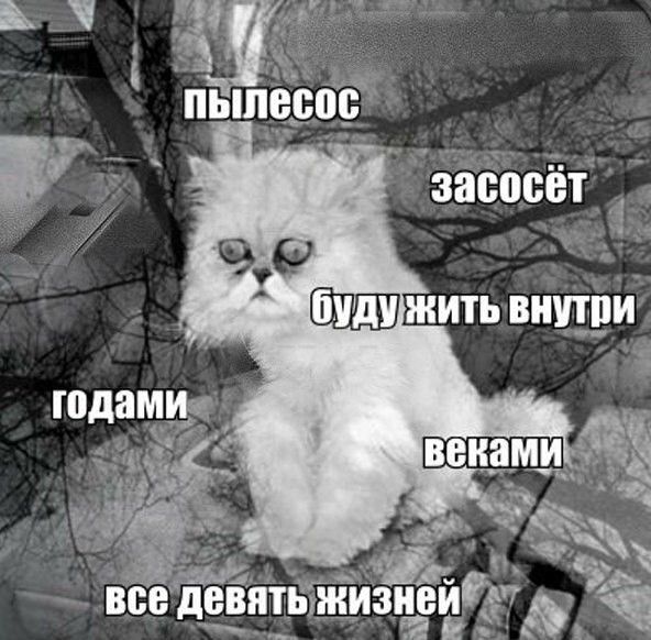 чіё пыпрдо ёёёбсёт И Шишжитьвищлиі