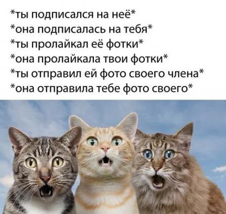 ты подписался на неё она подписалась на тебя ты пропайкап её фотки она пропайкапа твои фотки ты отправил ей фото своего чпена она отправила тебе фото своего