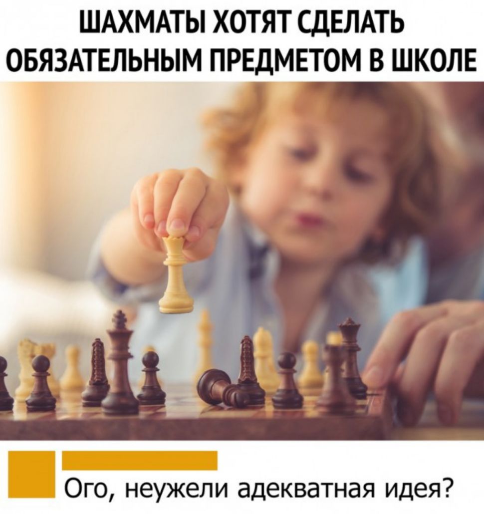 ШАХМАТЫ ХОТЯТ СДЕЛАТЬ ОБЯЗАТЕЛЬНЫМ ПРЕДМЕТОМ В ШКОЛЕ Ого неужели адекватная идея