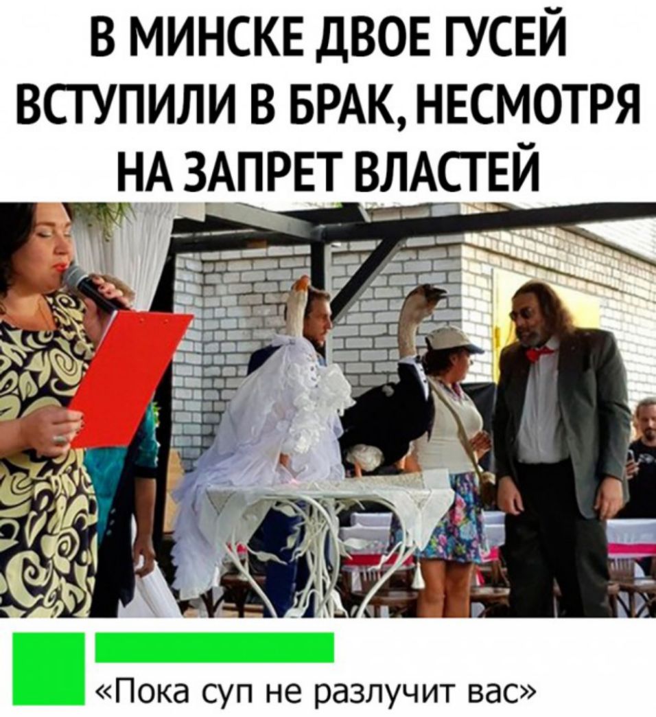 В МИНСКЕ ДВОЕ ГУСЕЙ ВСТУПИЛИ В БРАК НЕСМОТРЯ НА ЗАПРЕТ ВЛАСТ ЕЙ __ ___ Пока суп не разлучит вас