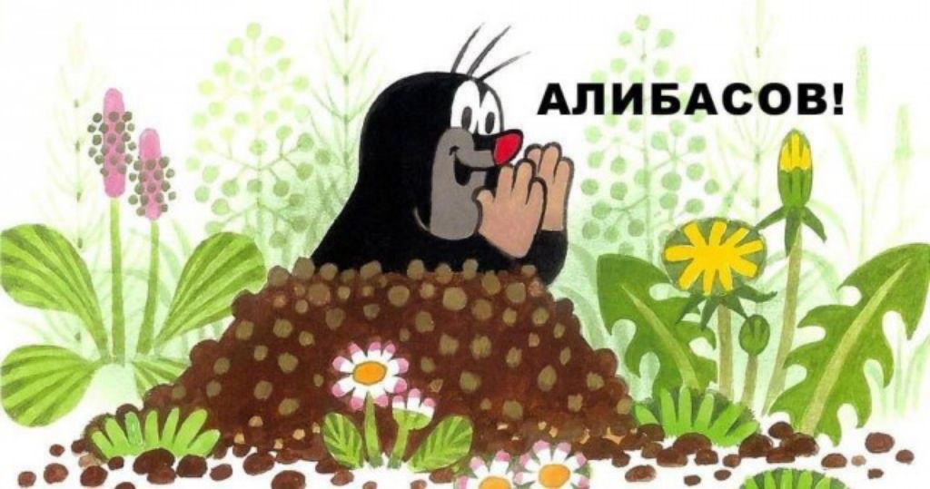 в д_ в о я АЛИБАСОВ