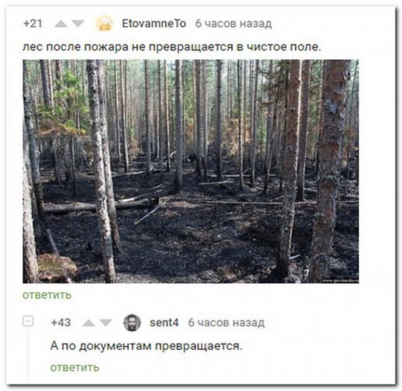21 ЕоуатпеТо 4309 азад ПЭС после пожара не превращается В чистое попе 43 зепи ёчасов раза А ПО документам превращается
