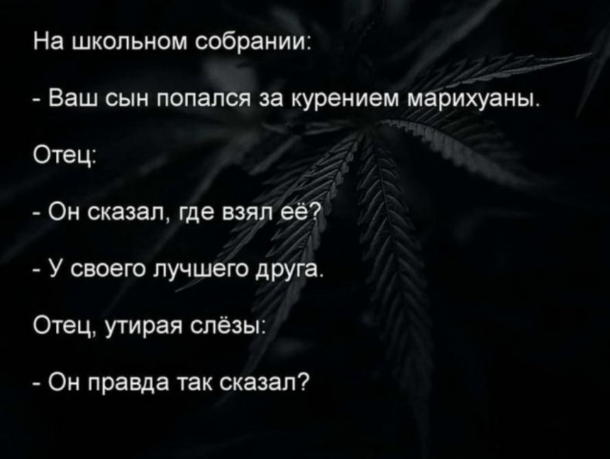 На школьном собрании Ваш сын попался за курением марихуаны Отец Он сказал где взял её У своего лучшего друга Отец утирая слёзы Он правда так сказал
