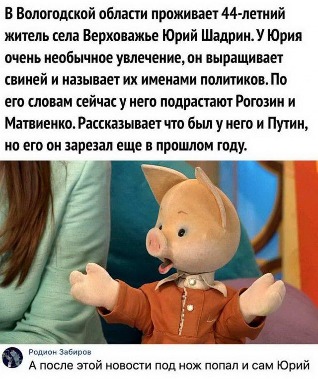 В Вологодской области проживает 44 летний житель села Верховажье Юрий ШадринУ Юрия очень необычное увлечение он выращивает свиней и называет их именами политиков По его словам сейчас у него подрастают Рогозин и Матвиенко Рассказывает что был у него и Путин но его он зарезал еще в прошлом году Родион Забиров А после ЭТОЙ НОВОСТИ ПОД НОЖ попал И сам Юрий