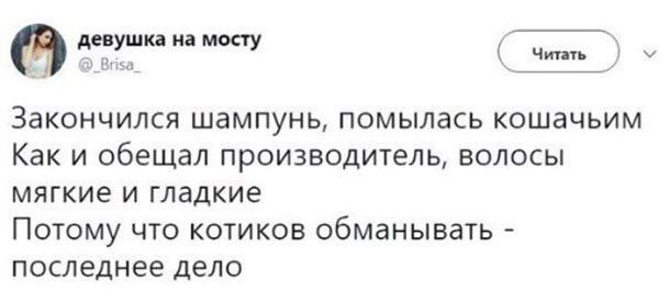 дегушюа на мосту Чт ЗЗКОНЧИЛСЯ шампунь ПОМЫЛЗСЬ КОШЭЧЬИМ Как И обещал производитель ВОЛОСЫ мягкие И гладкие ПОТОМУ ЧТО КОТИКОБ обманывать последнее дело