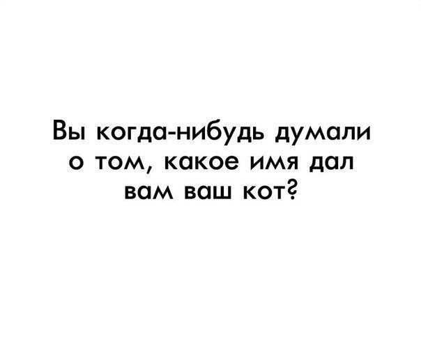 Вы когда нибудь думали о том какое имя дал вам ваш кот